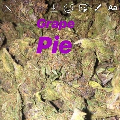 Weedplug-worldwide Delivery
Wickr Me : jeffrey26
WhatsApp : +1-515-329-0285
 🇺🇸🇫🇷🇧🇪🇮🇪🇳🇿🇬🇧
We have fast and discreet Delivery Methods!!
