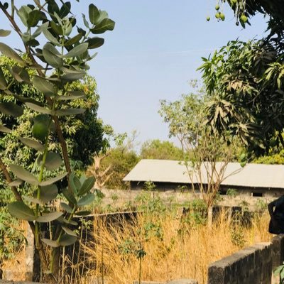 OlimatouK's profile picture. Africana 🇬🇲