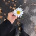 لُطفيّة (@lutf_d) Twitter profile photo لُطفيّة (@lutf_d) Twitter profile photo