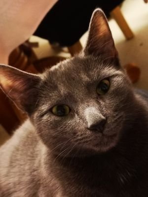 susanf1465's profile picture. I'm one of a kind.... good or bad!! Don't trust someone who doesn't love animal's!! Karma will get you in the end so think about your action's🐾🧙🏻‍♀️👻👽💞