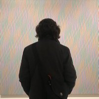 steve merrylees (@steveimproper) 's Twitter Profile
