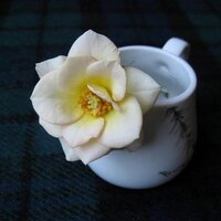 iyahaya (@iyahayadosue) 's Twitter Profile Photo