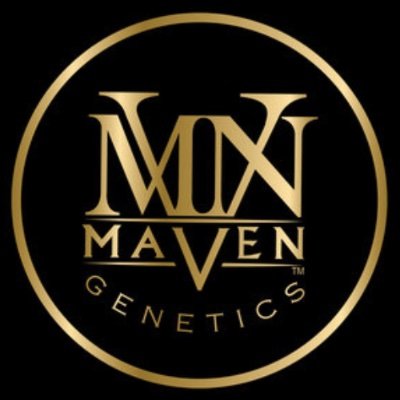 MavenGenetics Profile Picture