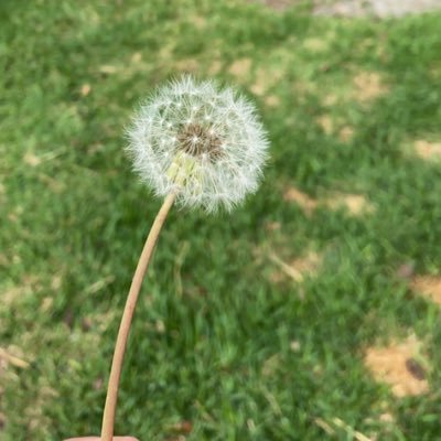 emililyly's profile picture. 