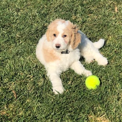 RobertL44266005's profile picture. 