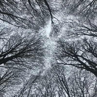 Ehsenibe2's profile picture. 