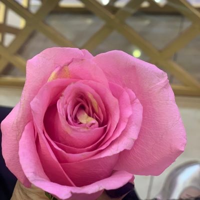 استودعك يا الله نفسي من تغيرات تحدث بحياتي، فأجعلها خيرًا لي ومصدر لسعادتي ولا تجعلها يومًا كسرًا لي .