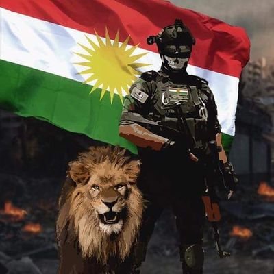 💙 Kurdistan 💙