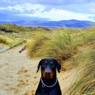 armomcfc's profile picture. 