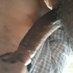 Juanes (@peludopasiv0) Twitter profile photo Juanes (@peludopasiv0) Twitter profile photo