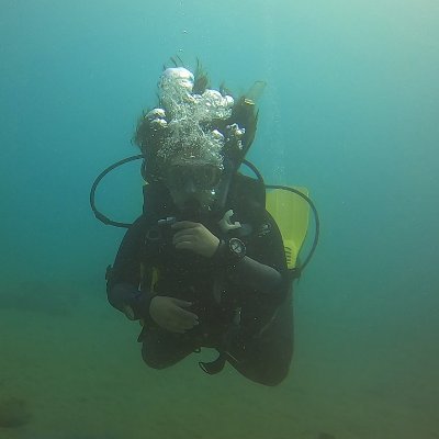 Bióloga Marina 👌💙
Máster Erasmus Mundus en Medio Ambiente y Recursos Marinos (MER+)