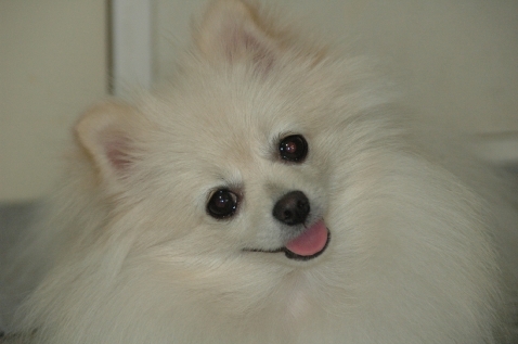 KM3777's profile picture. 