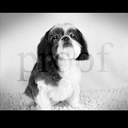 Vickie cloud - @Baileysbest - Twitter