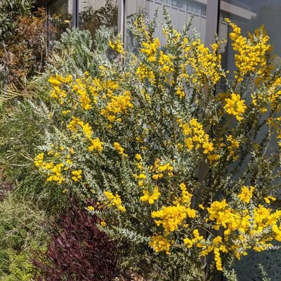 haru70353579's profile picture. 植物、手芸好き🍀
れいわ、日本共産党、社民、立憲を応援🎉