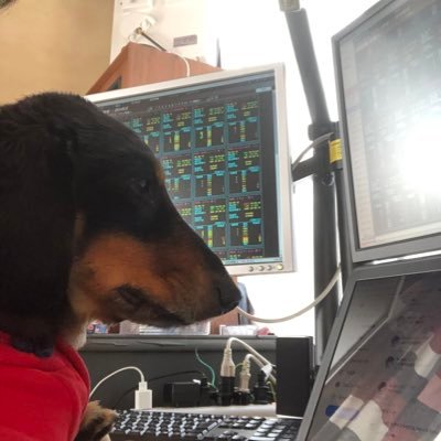 Makun70333137's profile picture. 株はデイから短期スウィング。 その他この歳でRock Musician。 目指せチョイ悪オヤジ。オヤジバンド。