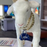 Chi-ca-GOATS (@chitowngoats) 's Twitter Profile