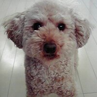 ジェームス (@jameskun2007) 's Twitter Profile