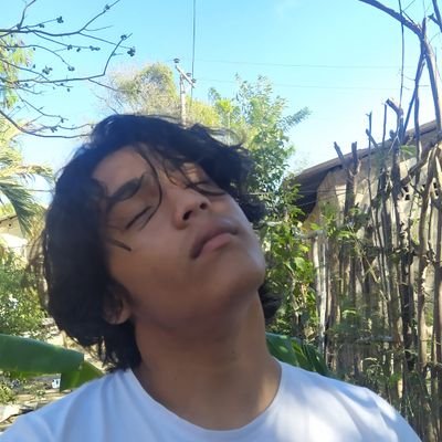 yesidyque's profile picture. programador
