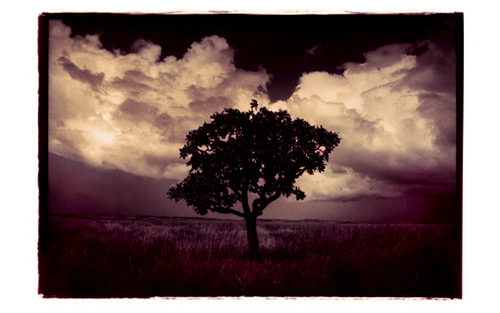 Haspete's profile picture. Short/Medium Term Trader & Chartist