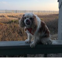 Denise Baldinger (@teachealthahs) 's Twitter Profile Photo Denise Baldinger (@teachealthahs) 's Twitter Profile Photo