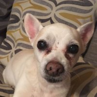 Mark Cummings (@markcummings81) 's Twitter Profile