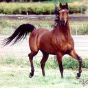 mohamed fekry - @fekry1942 - Twitter