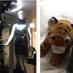 The Lady Xor The Tiger (@lady_xor_tiger) Twitter profile photo The Lady Xor The Tiger (@lady_xor_tiger) Twitter profile photo