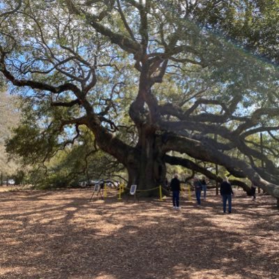 RondaRonnie4's profile picture. 