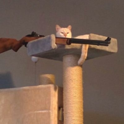 summer_kjh's profile picture. part time phd, full time ติ่ง