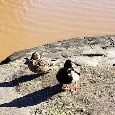 ArmstrongYumi's profile picture. smile