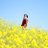 honda_yukiko
