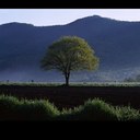 Bob Boyle - @ibobboyle - Twitter