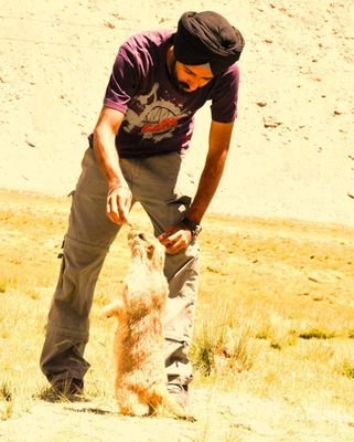 anonymousever13's profile picture. 