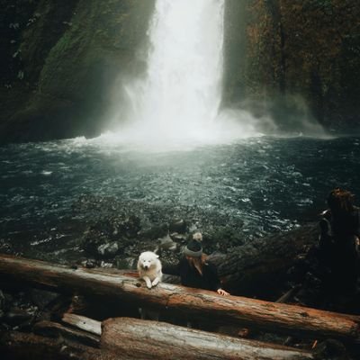 samouna_samouni's profile picture. 