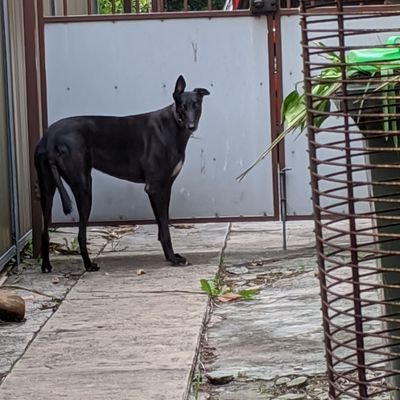 5cottNoCoin's profile picture. 