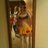 staceylou81's profile image