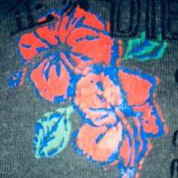 Víctor (@victor_pd68) 's Twitter Profile