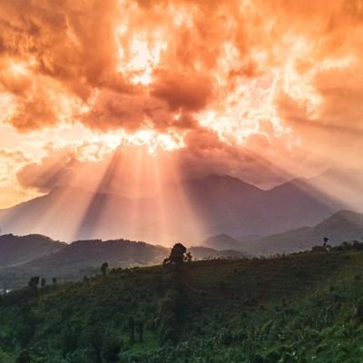 CananKalkan16's profile picture. 