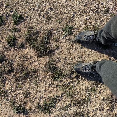 d2m_miles's profile picture. 