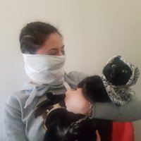 biri (@gingeryiyen) Twitter profile photo