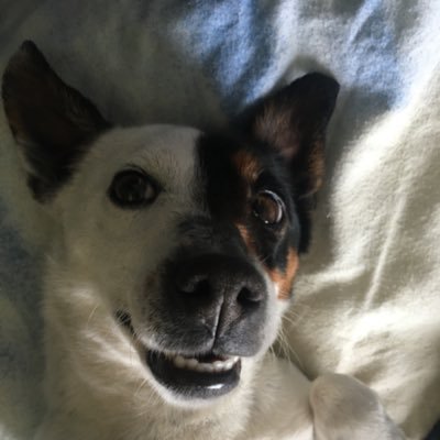 jason59143's profile picture. 