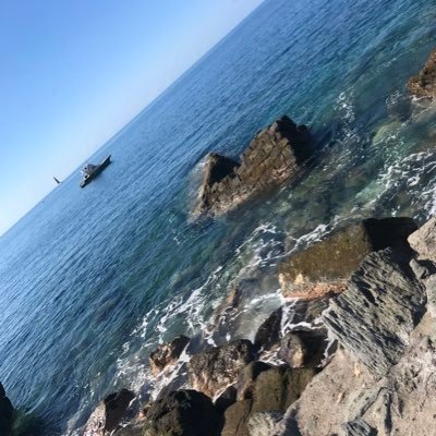 nicmck81's profile picture. 