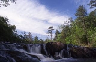 RiverWarden's profile picture. Working everyday to protect the Chattahoochee River
