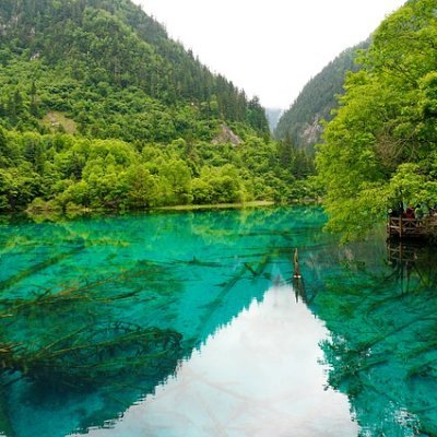 asdpopffff's profile picture. 我是一个技术爱好者，喜欢到处的看看这个世界，如此而已