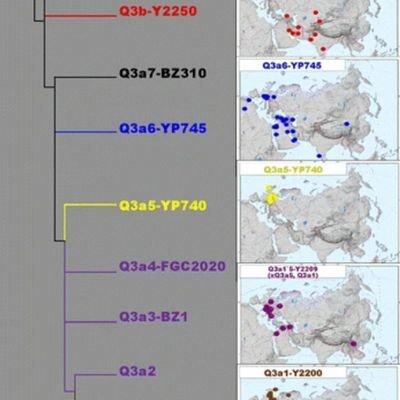 ‏‏‏اهتمامي مكرس للتكتلات العربية على السلاله Q ------------
Interested in Arabic clusters within Haplogroup Q

سلالتي Q-M242