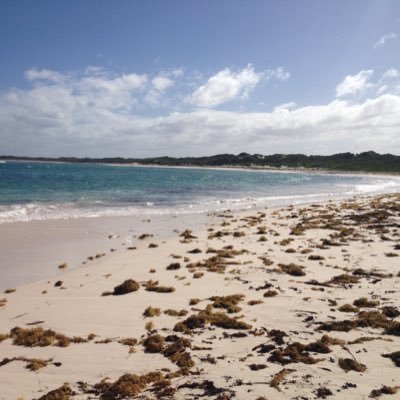 mikebryan77's profile picture. Travel, politics, football