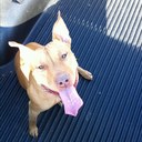 Amber Marion - @AmMarion2011 - Twitter