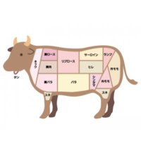 もーちゃん🐄 (@moo_moo_nmooo) Twitter profile photo