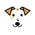 Pipper on tour (@pipperontour) Twitter profile photo Pipper on tour (@pipperontour) Twitter profile photo