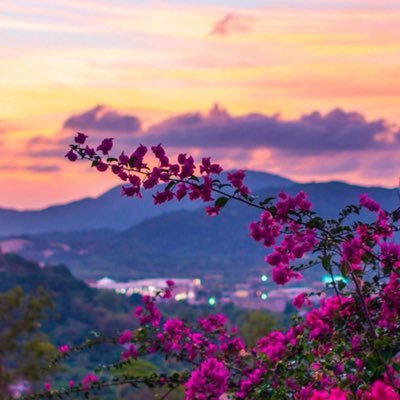 jawazqar's profile picture. Health Informatics